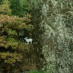 Village Du Camboussel