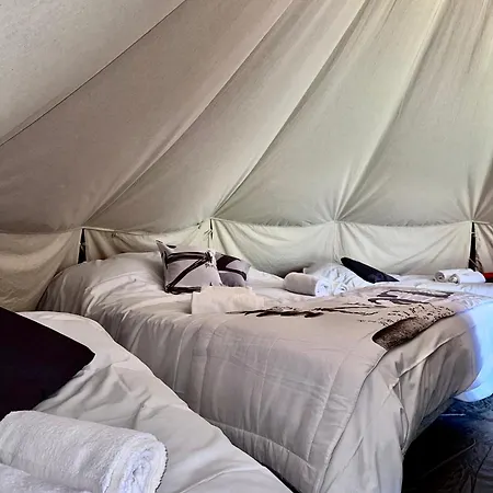 Village Du Camboussel 3* Brassac (Tarn)