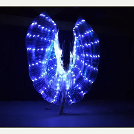 Village Du Camboussel 3* Brassac (Tarn)