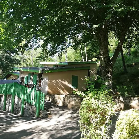 Village Du Camboussel Camping Brassac (Tarn)