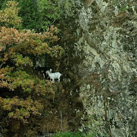 Village Du Camboussel