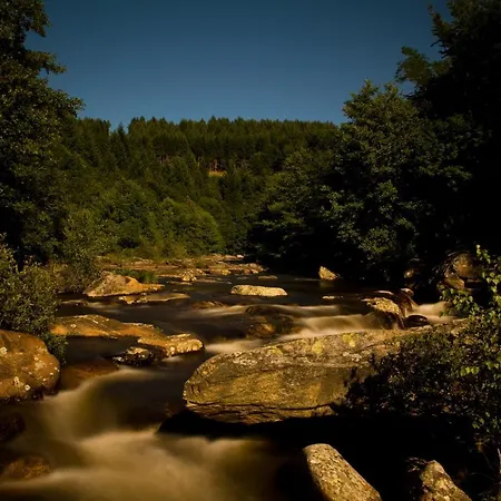 Village Du Camboussel Brassac (Tarn)