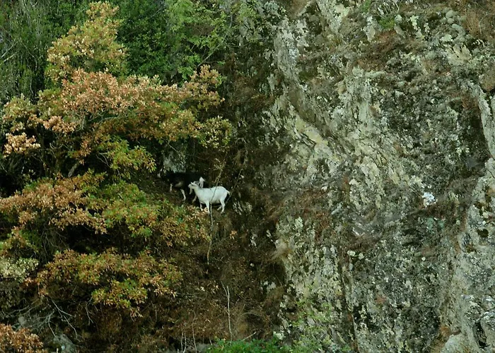 Village Du Camboussel